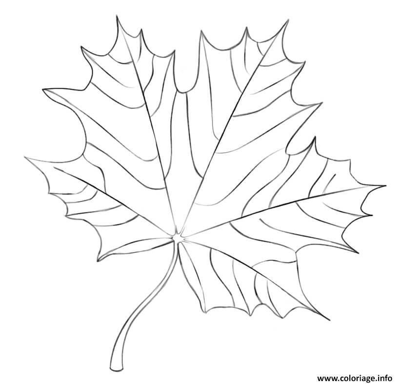 Coloriage Maple Leaf Automne Dessin à Imprimer
