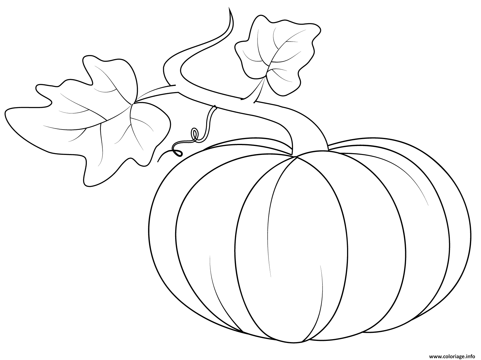 Dessin pumpkin with feuilles automne Coloriage Gratuit à Imprimer