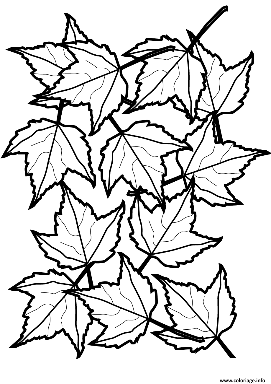 Coloriage Automne Maple Feuilles Fall Dessin Automne à imprimer