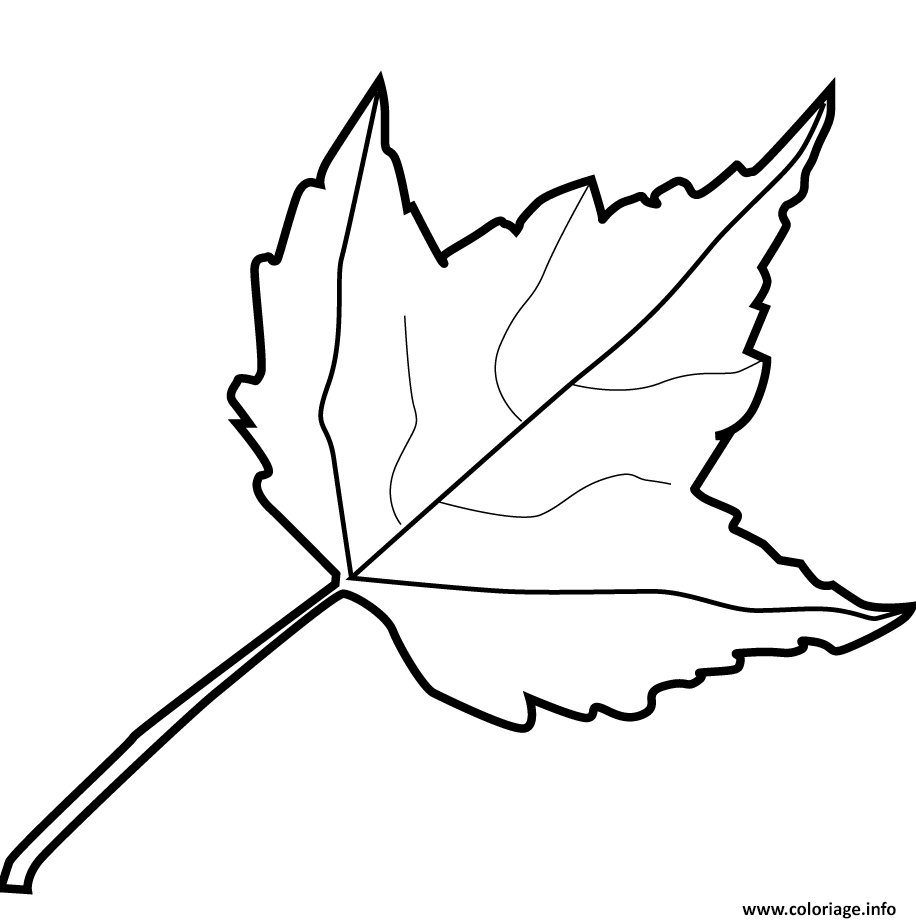 Dessin maple leaf automne Coloriage Gratuit à Imprimer