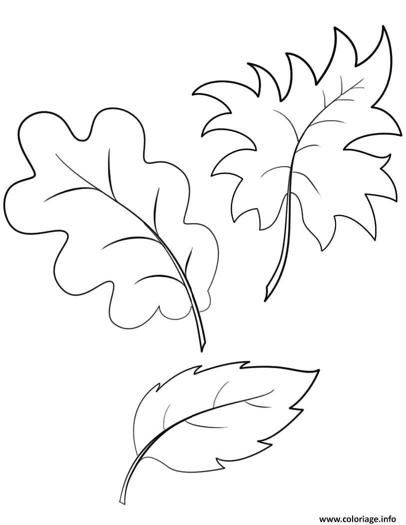 Coloriage Fall Automne Feuilles dessin