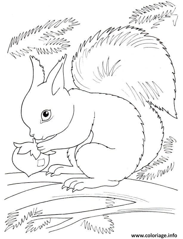 Dessin squirrel automne Coloriage Gratuit à Imprimer