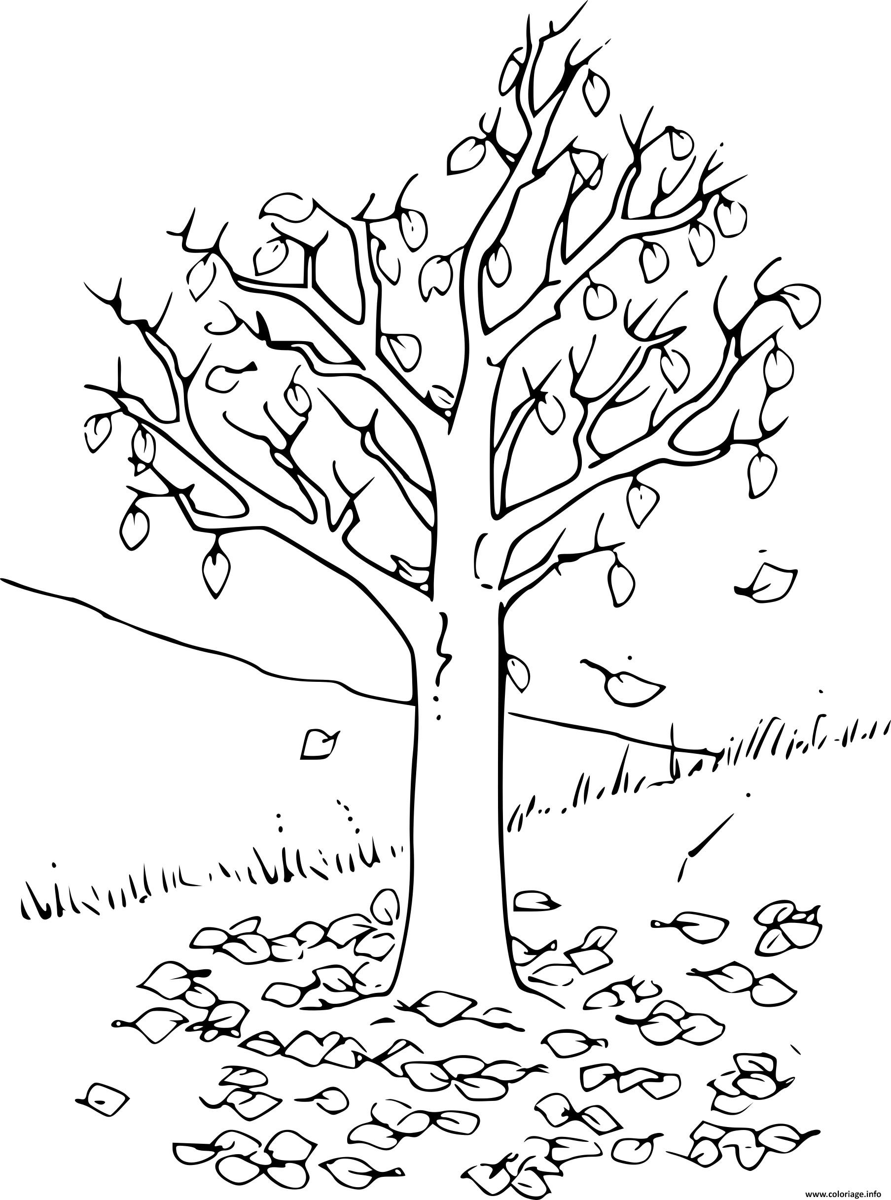 Arbre D Automne Coloriage