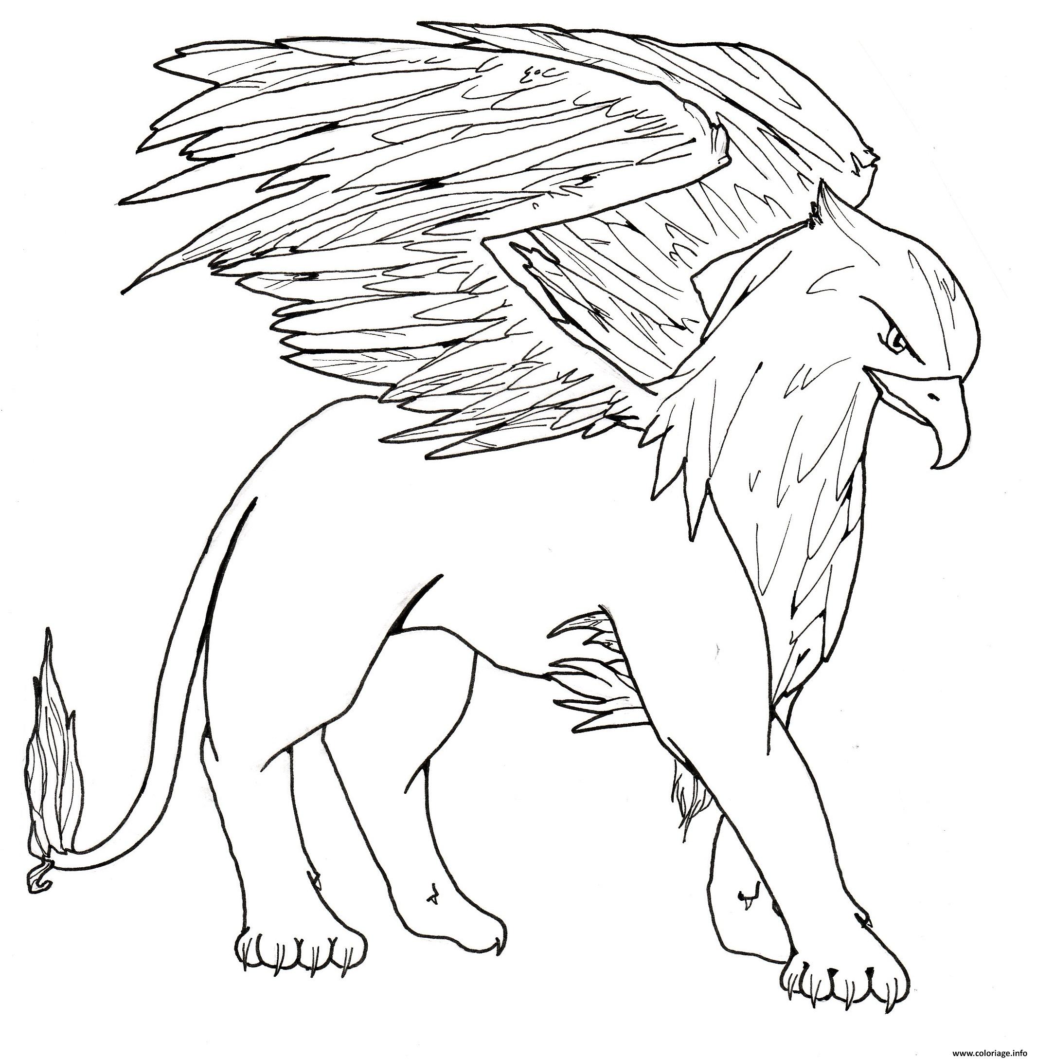 Dessin griffon prestigieux et grand Coloriage Gratuit à Imprimer