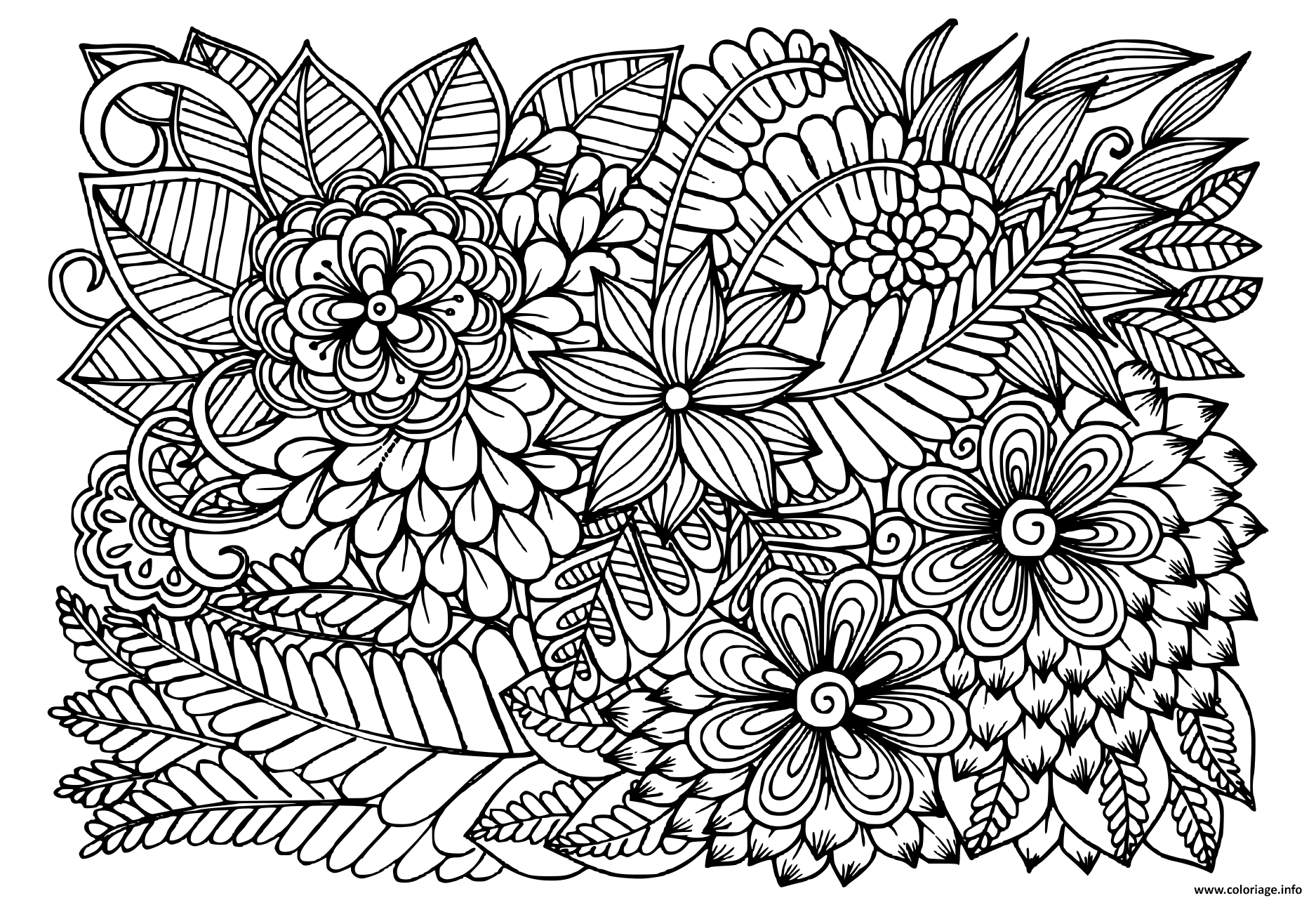 Coloriage Doodle Fleurs En Noir Et Blanc Motif Floral Dessin