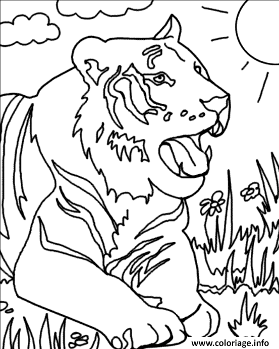 Dessin tigre dans l herbe Coloriage Gratuit à Imprimer