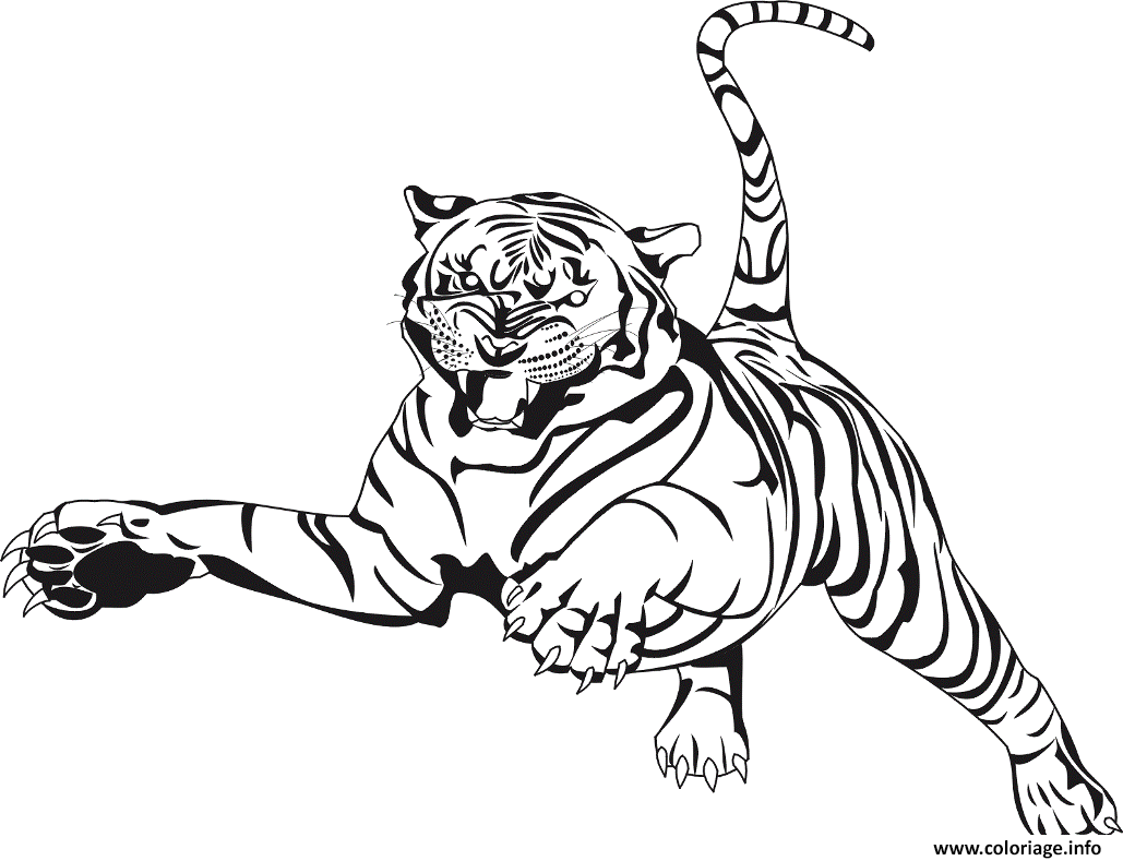 Dessin tigre en plein saut dans les airs Coloriage Gratuit à Imprimer