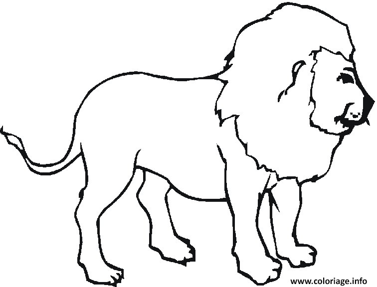 Dessin Barbary Lion Coloriage Gratuit à Imprimer