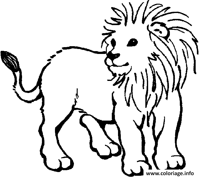 Dessin dessin d un lionceau Coloriage Gratuit à Imprimer