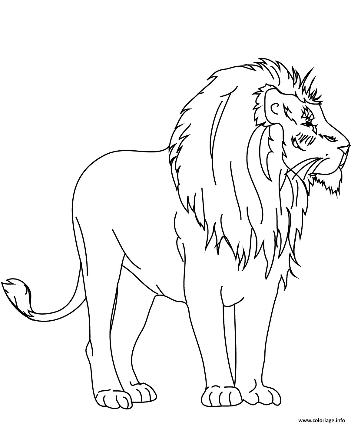 Coloriage Lion Sauvage Simple Dessin à Imprimer