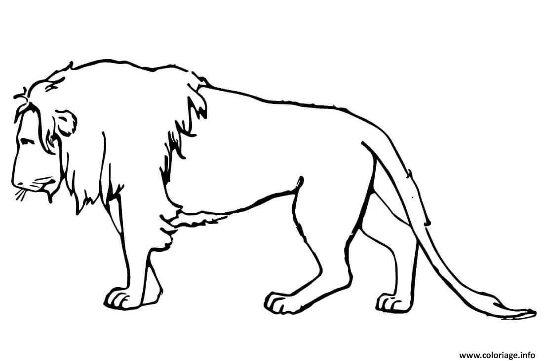 Coloriage De Lion A Imprimer Gratuit
