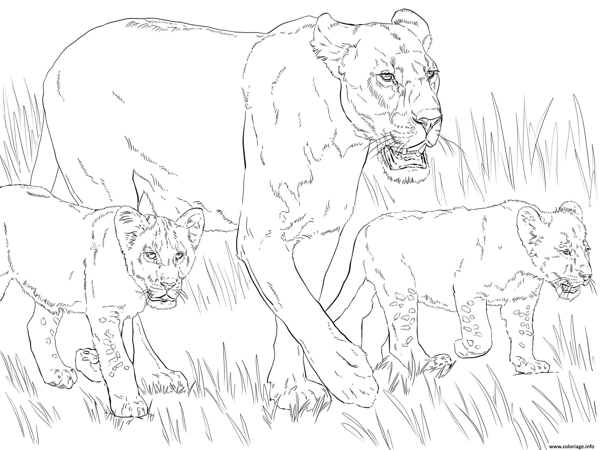 Dessin lioness with cubs Coloriage Gratuit à Imprimer
