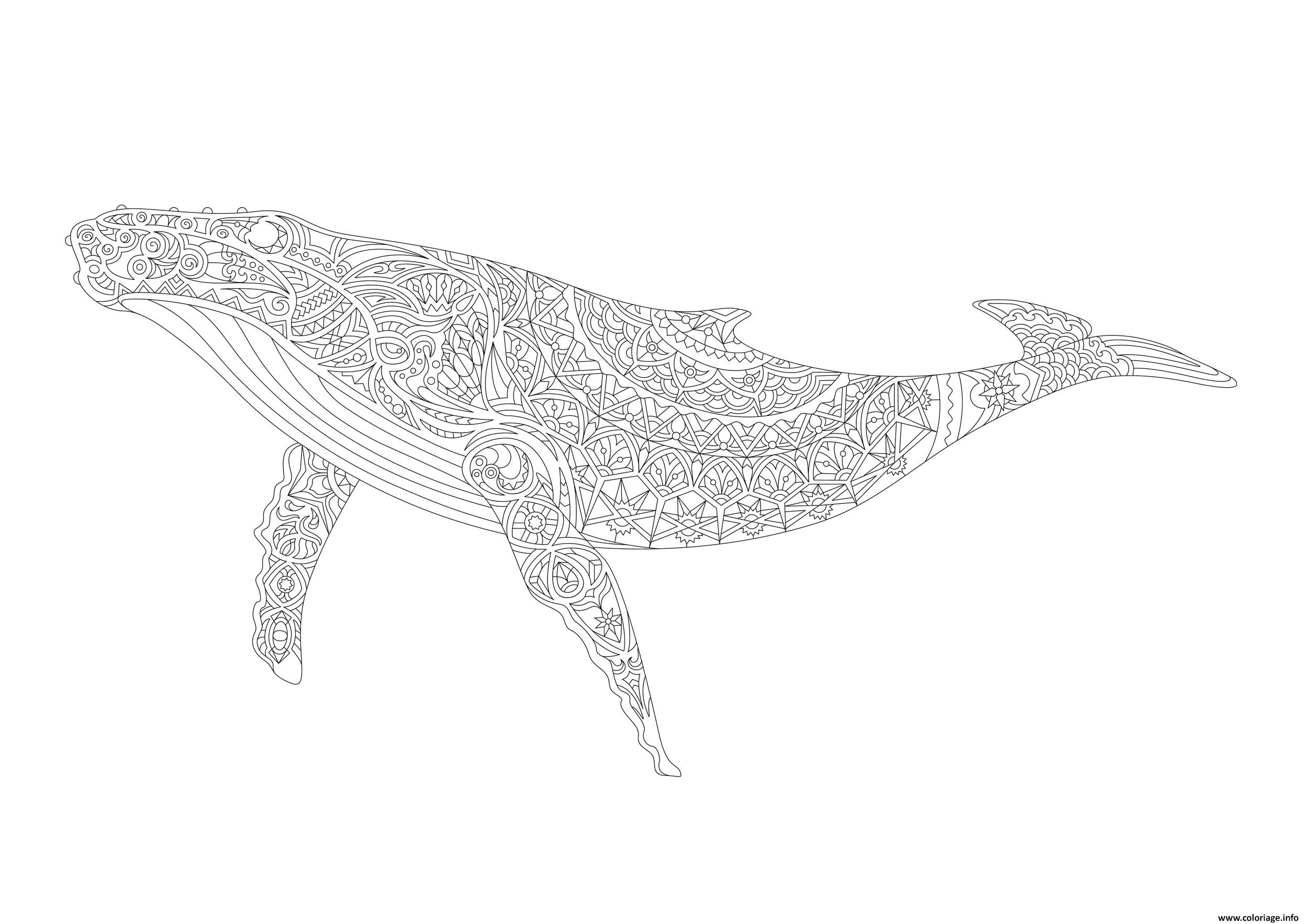 Coloriage Baleine Adulte Ocean Animal Zentangle Dessin à Imprimer