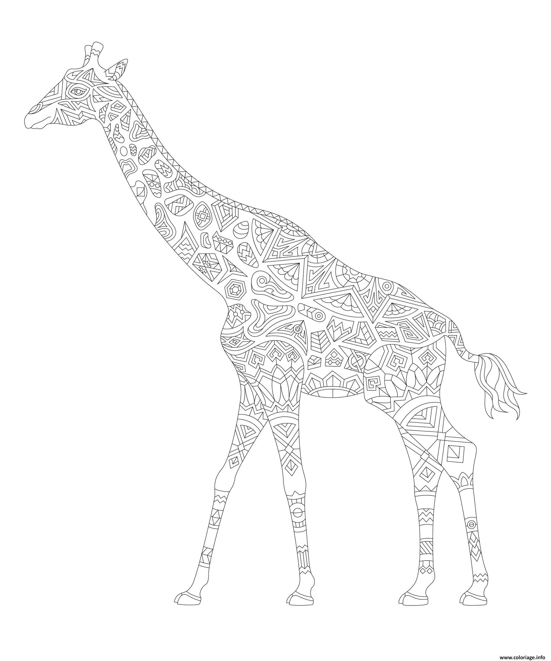 Coloriage Giraffe Adulte Animal Zentangle Dessin à Imprimer