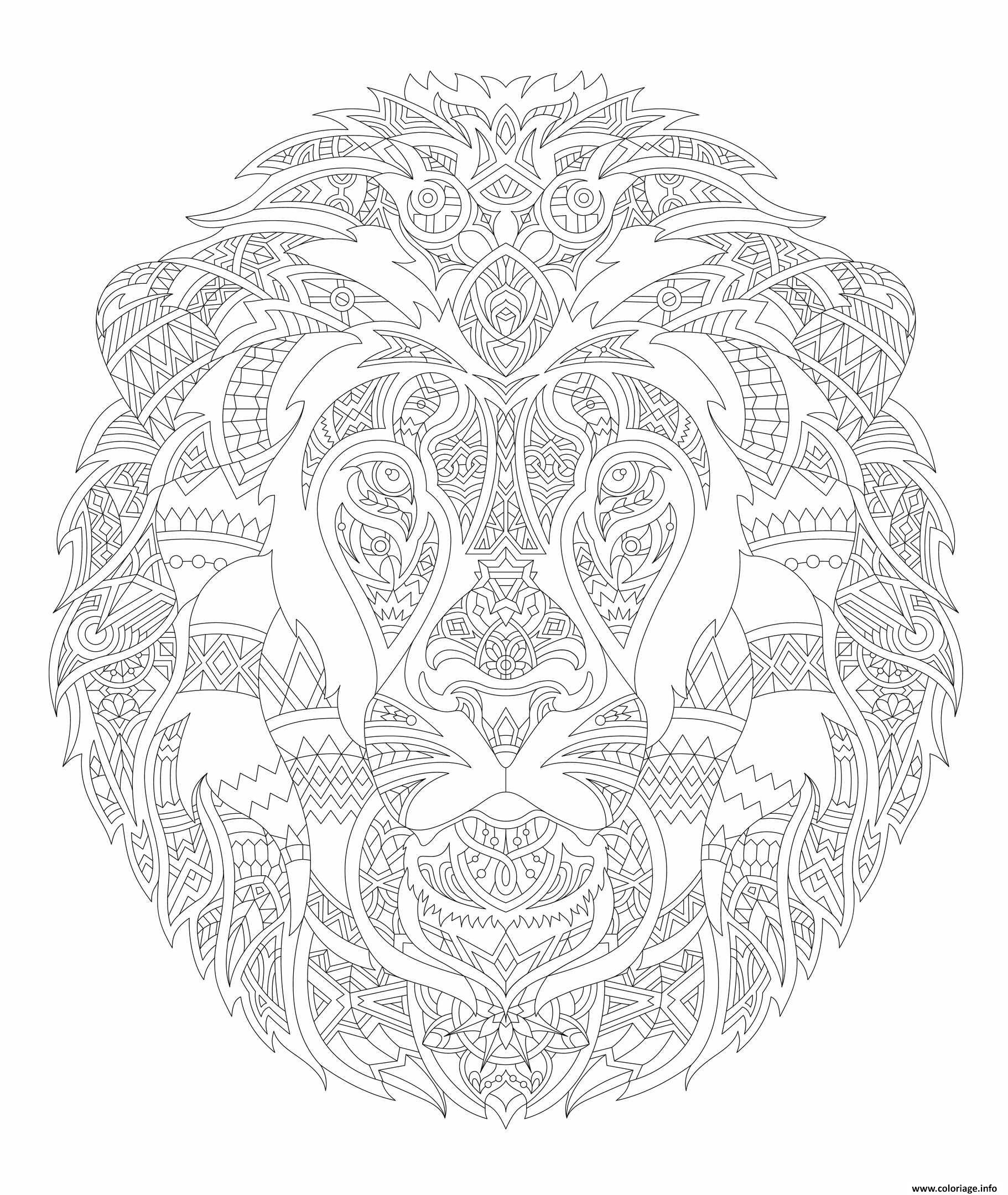 Dessin lion adulte animal relax Coloriage Gratuit à Imprimer