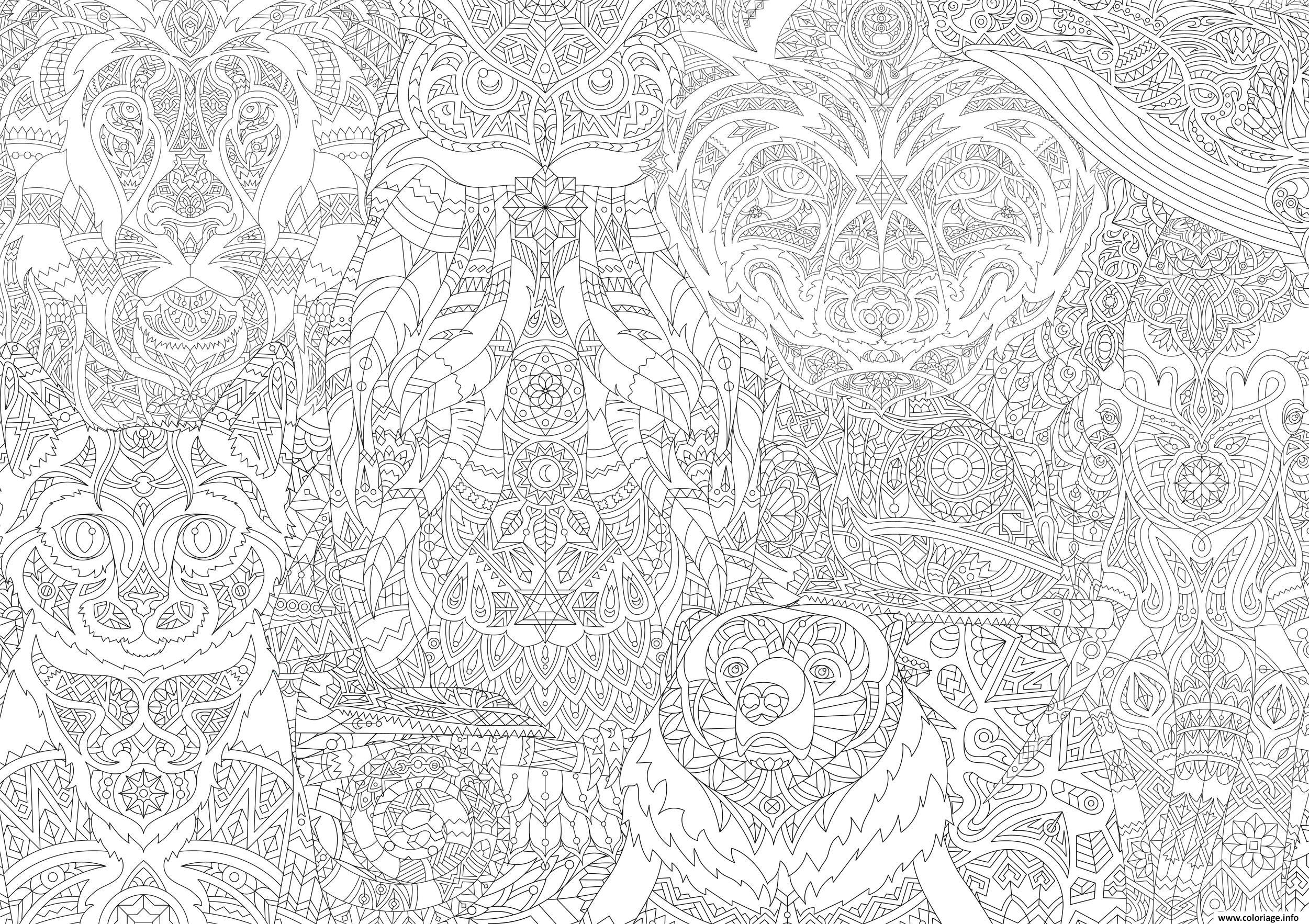 https://coloriage.info/images/ccovers/1560196595adulte-animaux-zentangle-difficile-2019.jpg