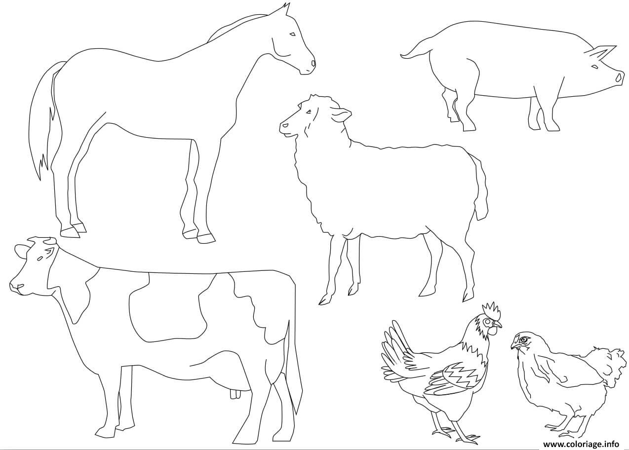 Coloriage Animaux De La Ferme Vache Cheval Mouton Cochon Poule Coq Dessin à Imprimer