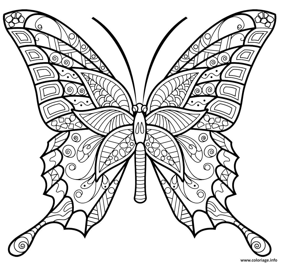 Coloriage insecte papillon jolis motifs  JeColorie.com