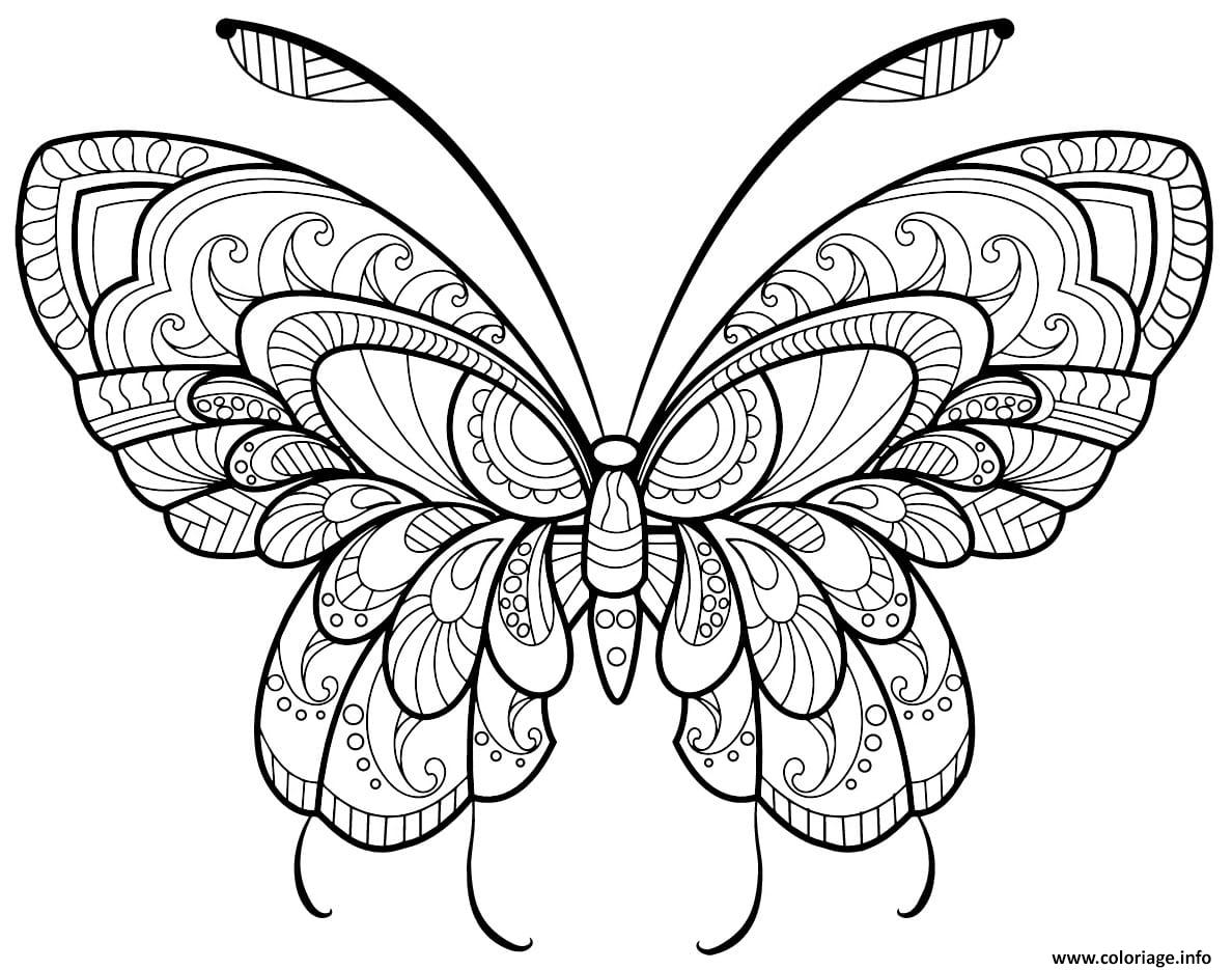 COLORIAGE ADULTE Papillon: coloriage adulte gros motifs,21x27 cm