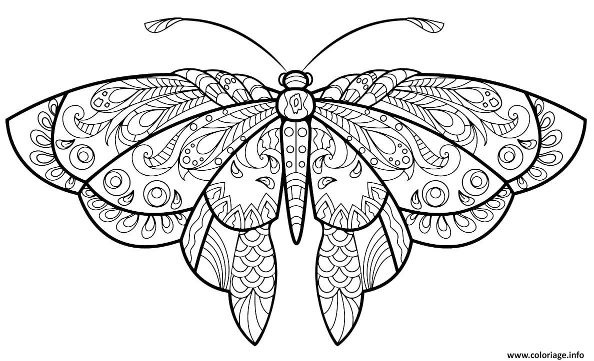 Coloriage Papillon Jolis Motifs 1 Dessin Adulte Papillon à imprimer