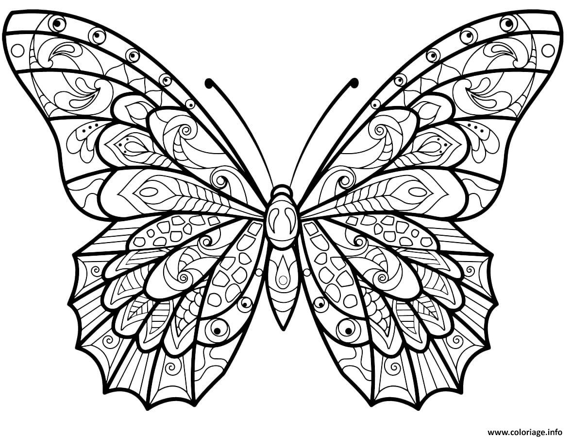 Coloriage A Imprimer Papillon Gratuit
