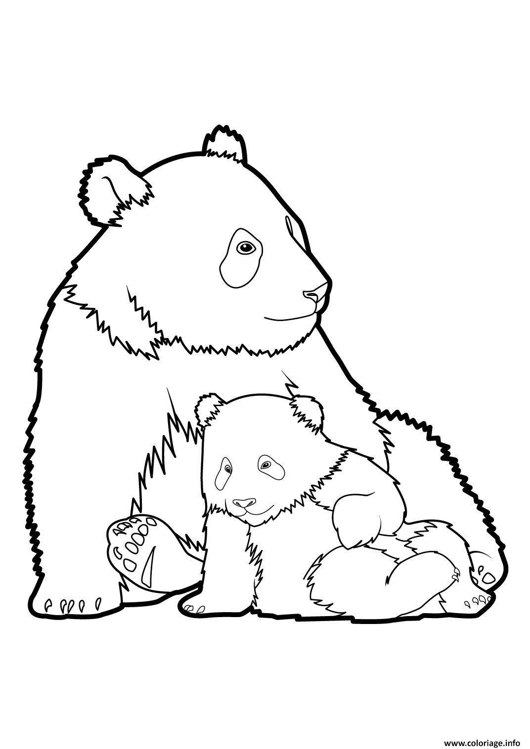 Dessin Panda 6 Coloriage Gratuit à Imprimer