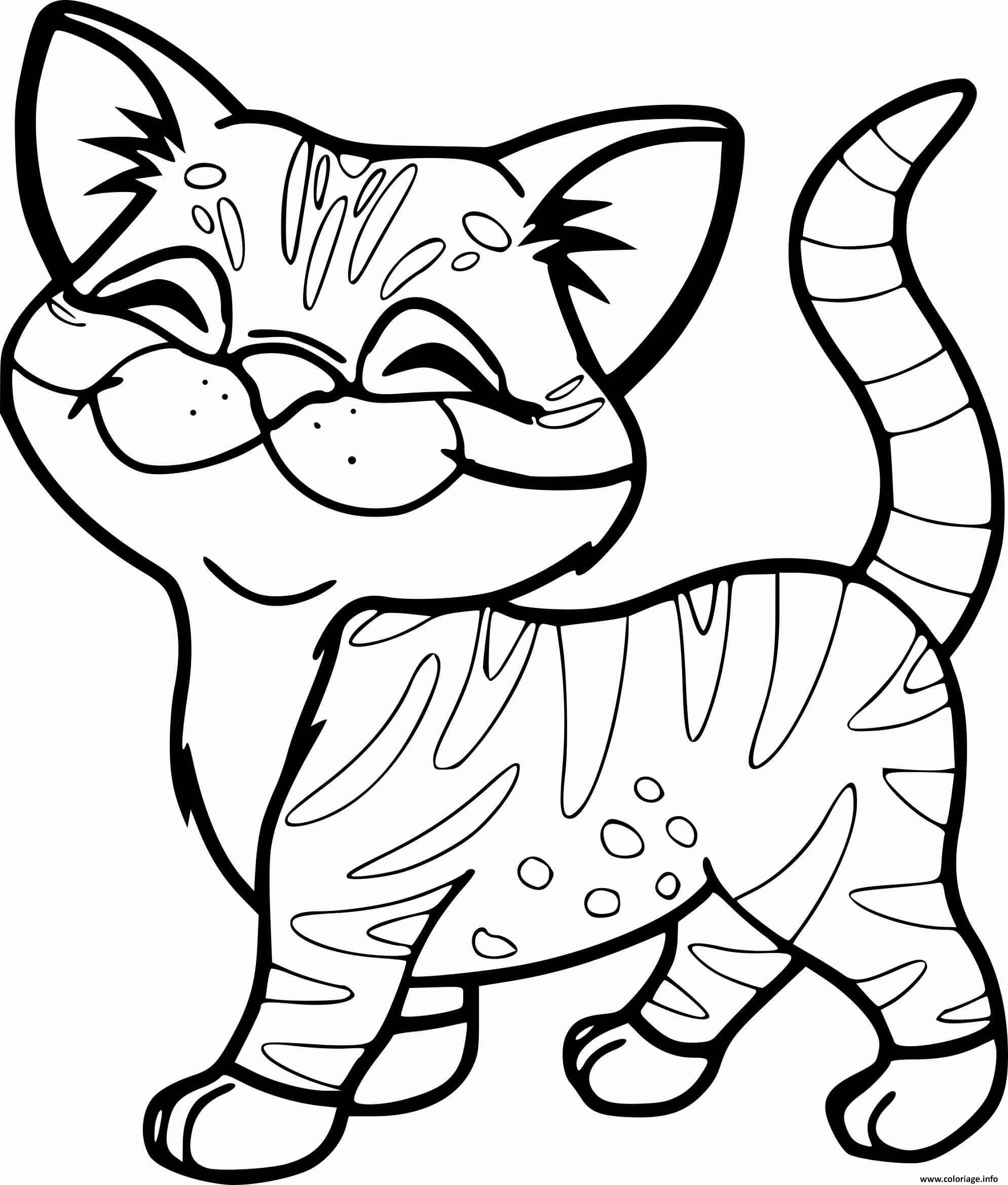 Coloriage chaton mignon rayure de tigre  JeColorie.com