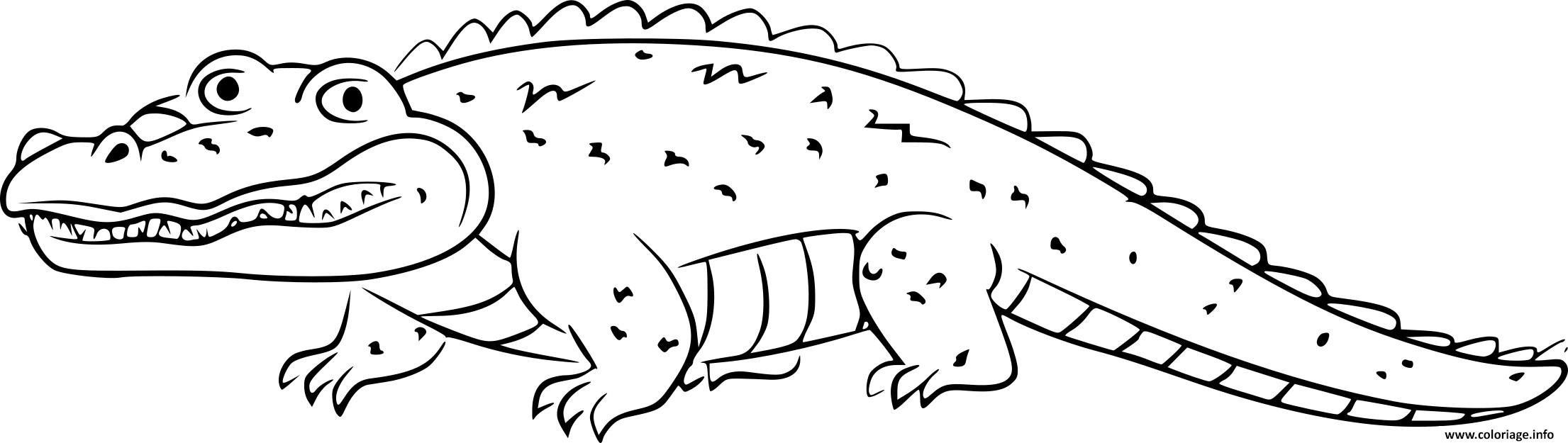 Coloriage Crocodile Alligator Lespitous dessin