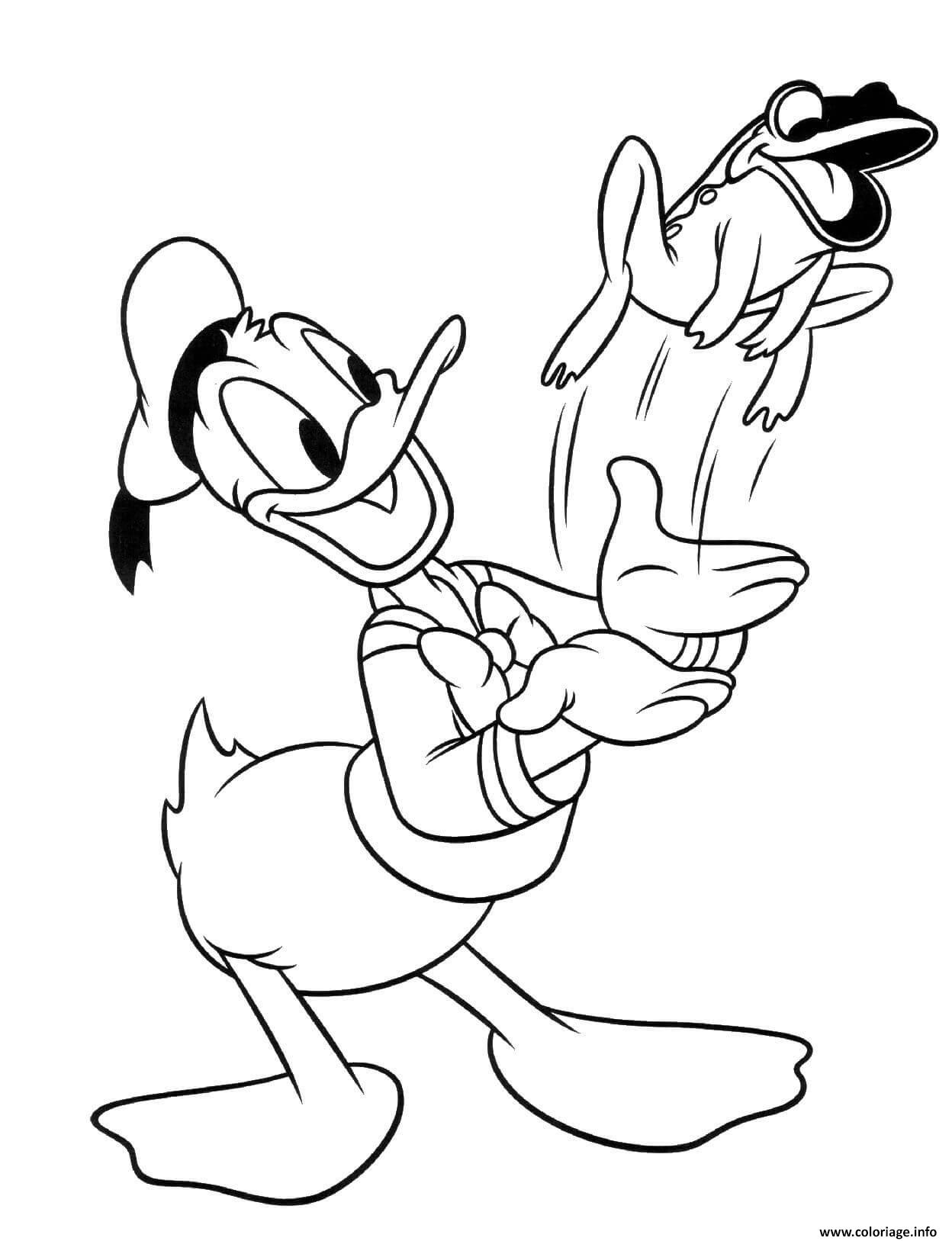 Coloriage Donald Duck Avec Une Grenouille Dessin