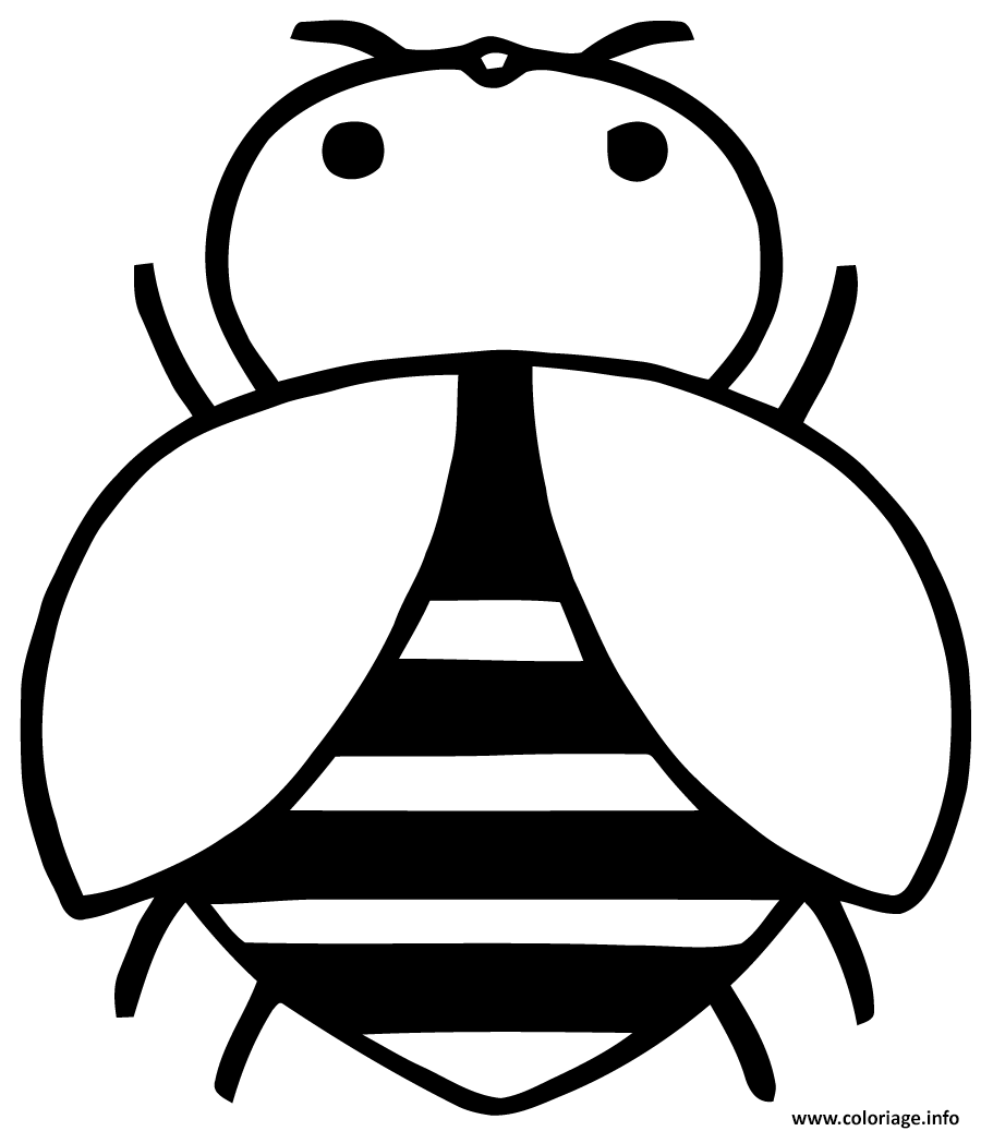 Dessin abeille domestique insecte Coloriage Gratuit à Imprimer