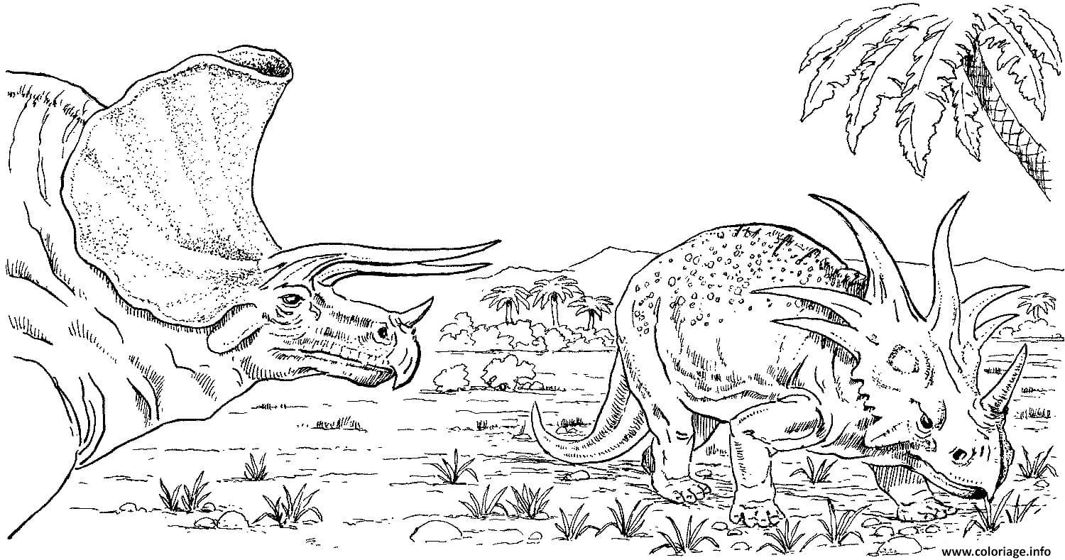 Coloriage Deux Triceratops Dinosaures Herbivores Dessin à Imprimer