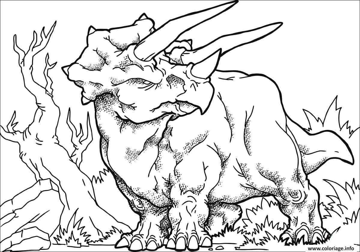Coloriage Huge Triceratops Dessin à Imprimer