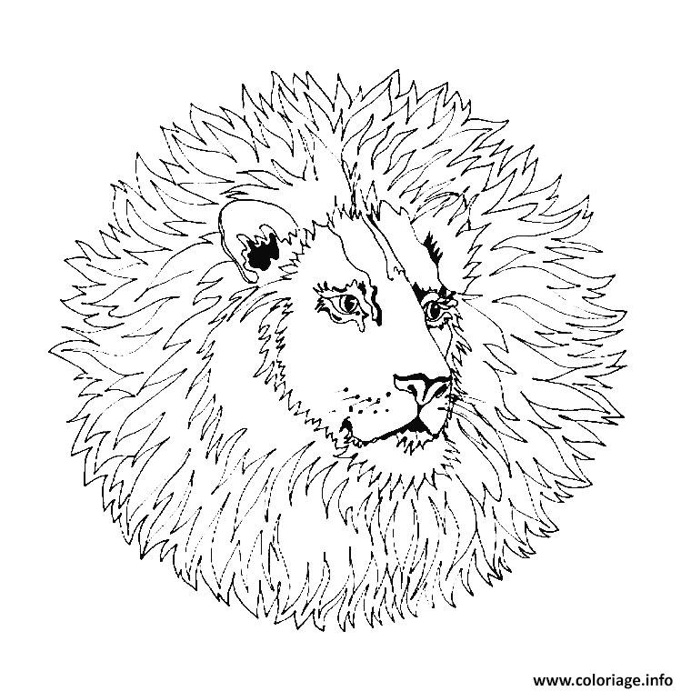 Dessin mandala simple lion sauvage Coloriage Gratuit à Imprimer