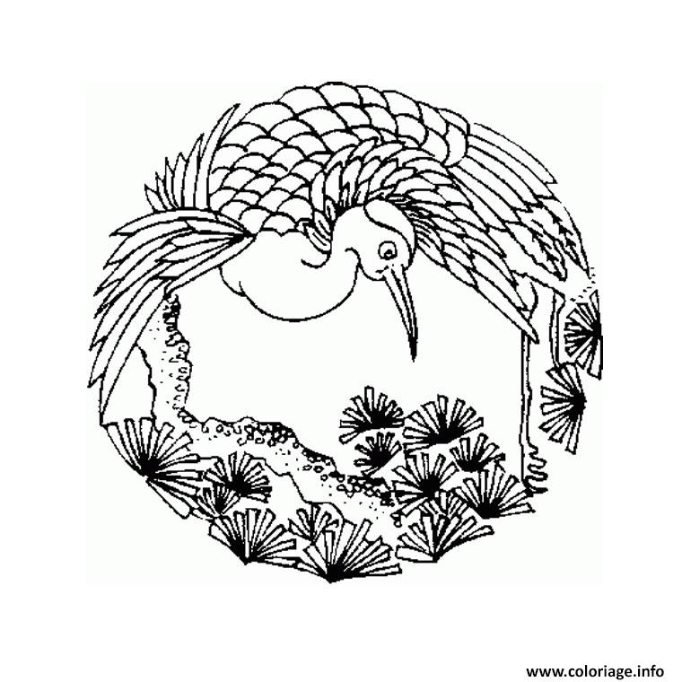 Coloriage Mandala Simple Oiseau Dans Son Environnement Naturel Dessin à Imprimer