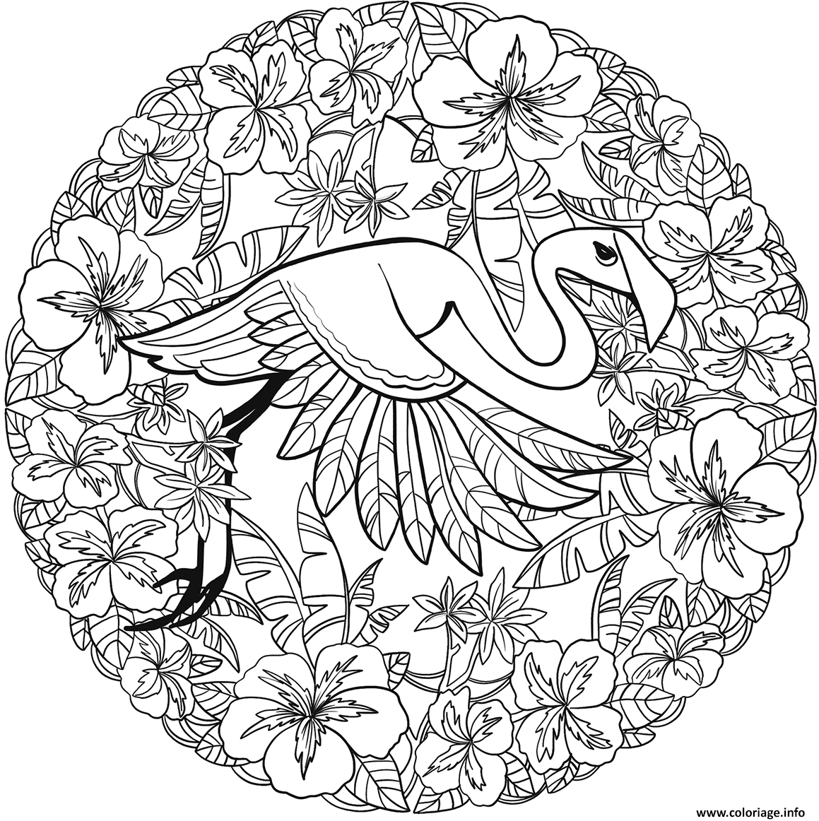 Coloriage Flamingo Mandala Par Lesya Adamchuk Dessin à Imprimer