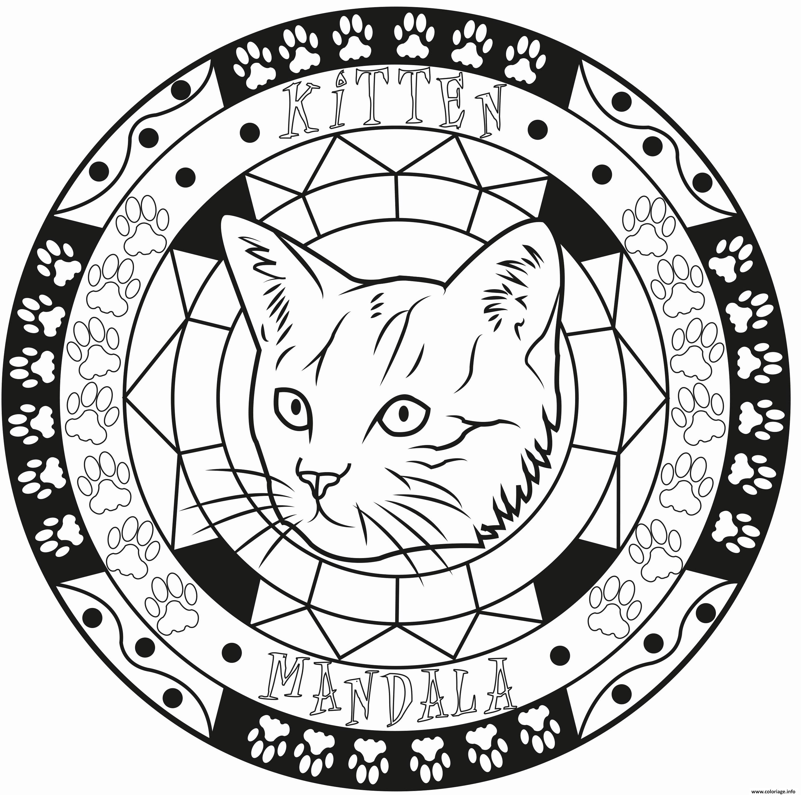 Coloriage Adulte Mandala Elegant Chat Kitten Dessin à Imprimer
