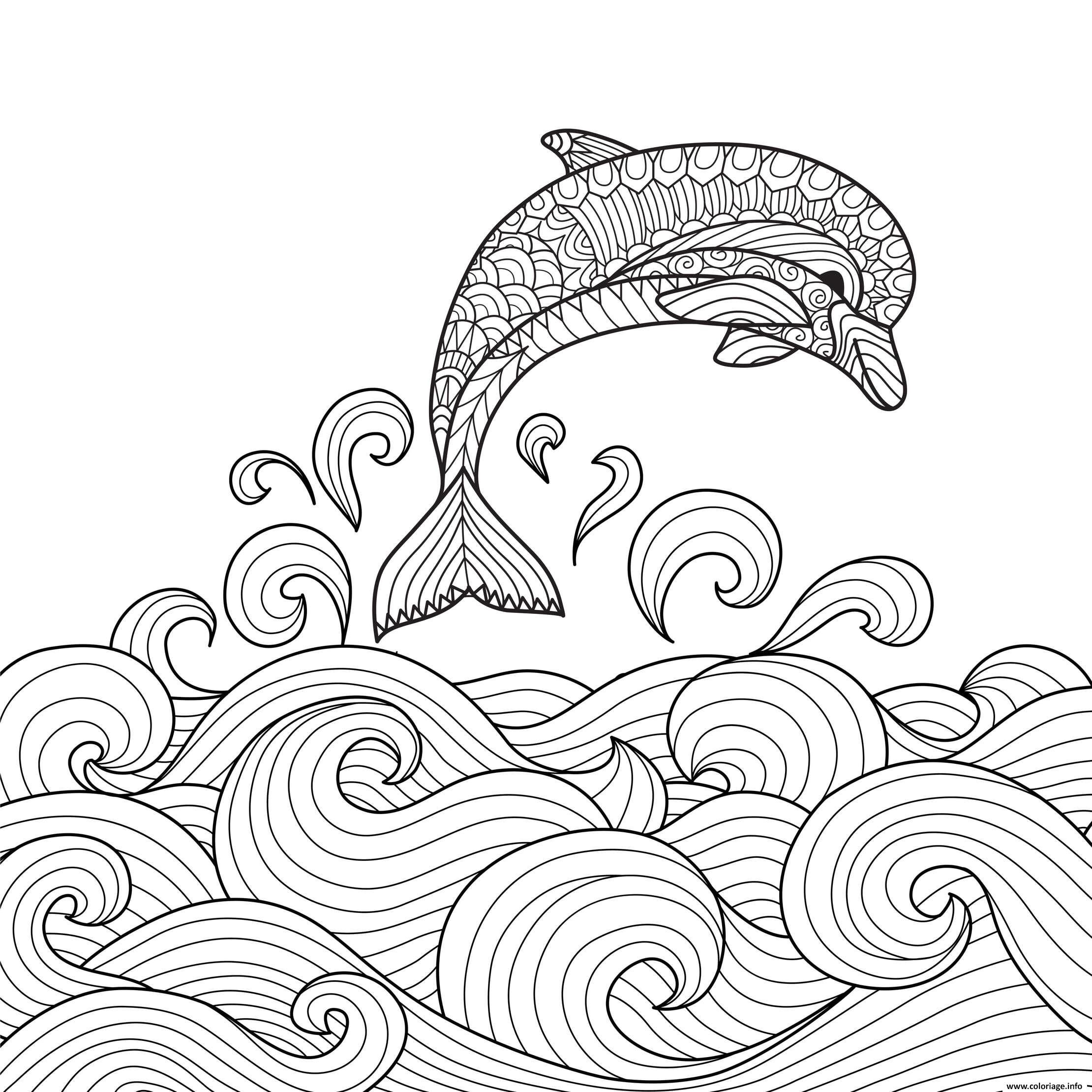 Dessin dauphin fait un saut ocean animal marin anti-stress animaux Coloriage Gratuit à Imprimer