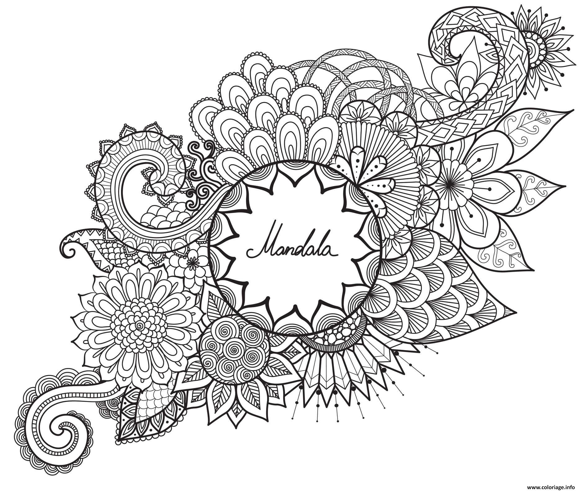 Mandalas à Colorier pour Adultes: Livre de coloriage anti-stress adulte de  55 pages avec dessin d'animaux, de fleurs, de dessins pour la méditation et