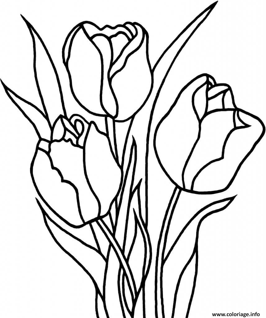 Dessin fleur tulipe nenuphar Coloriage Gratuit à Imprimer