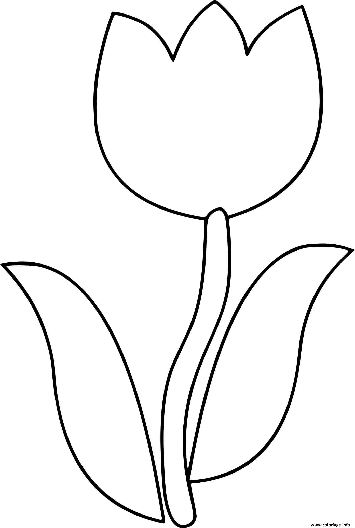 Dessin tulipe maternelle fleur simple Coloriage Gratuit à Imprimer