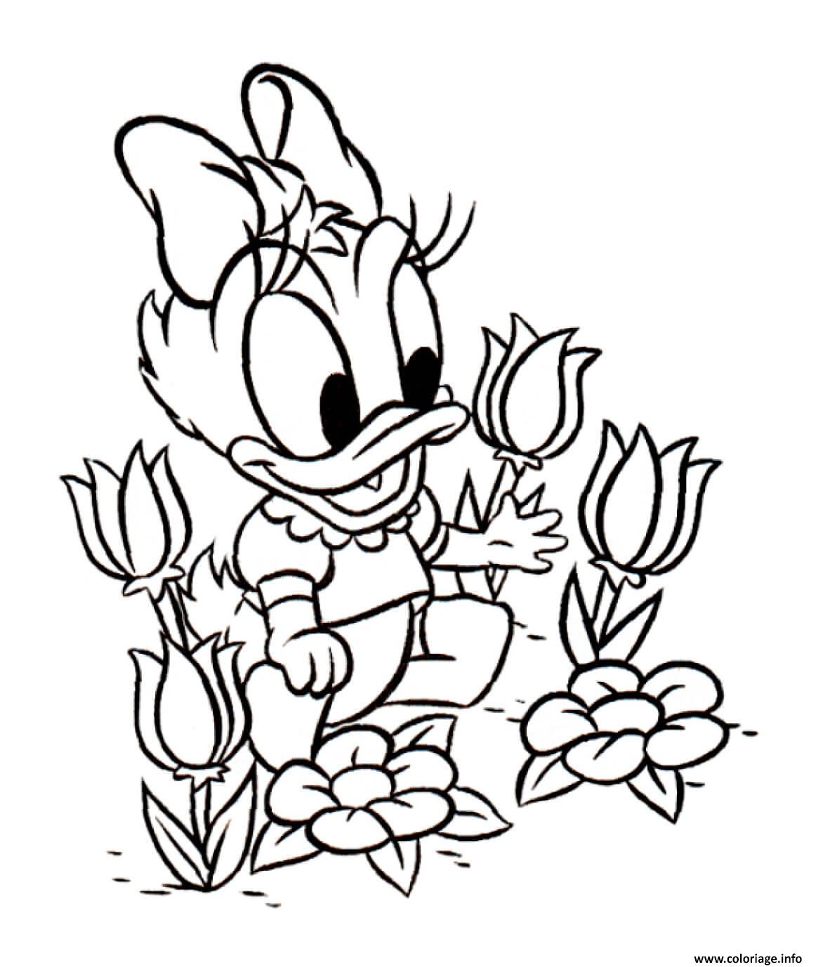 Dessin disney daisy tulipes Coloriage Gratuit à Imprimer