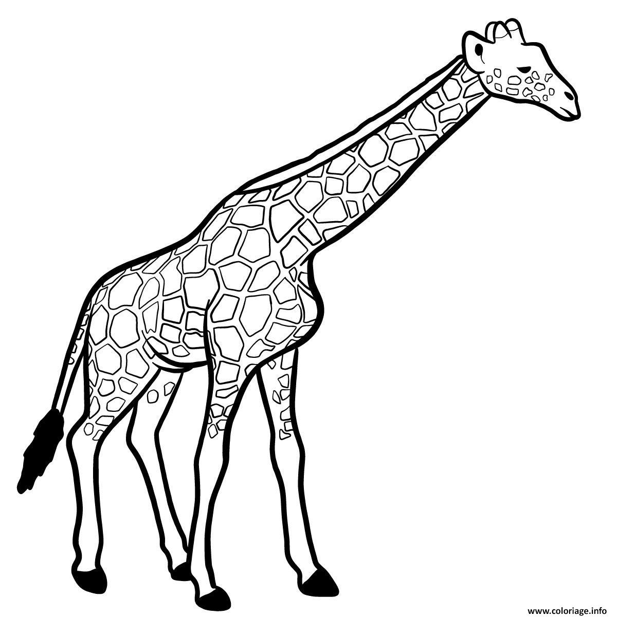 Coloriage Girafe Mammifere De La Savane Africaine Dessin