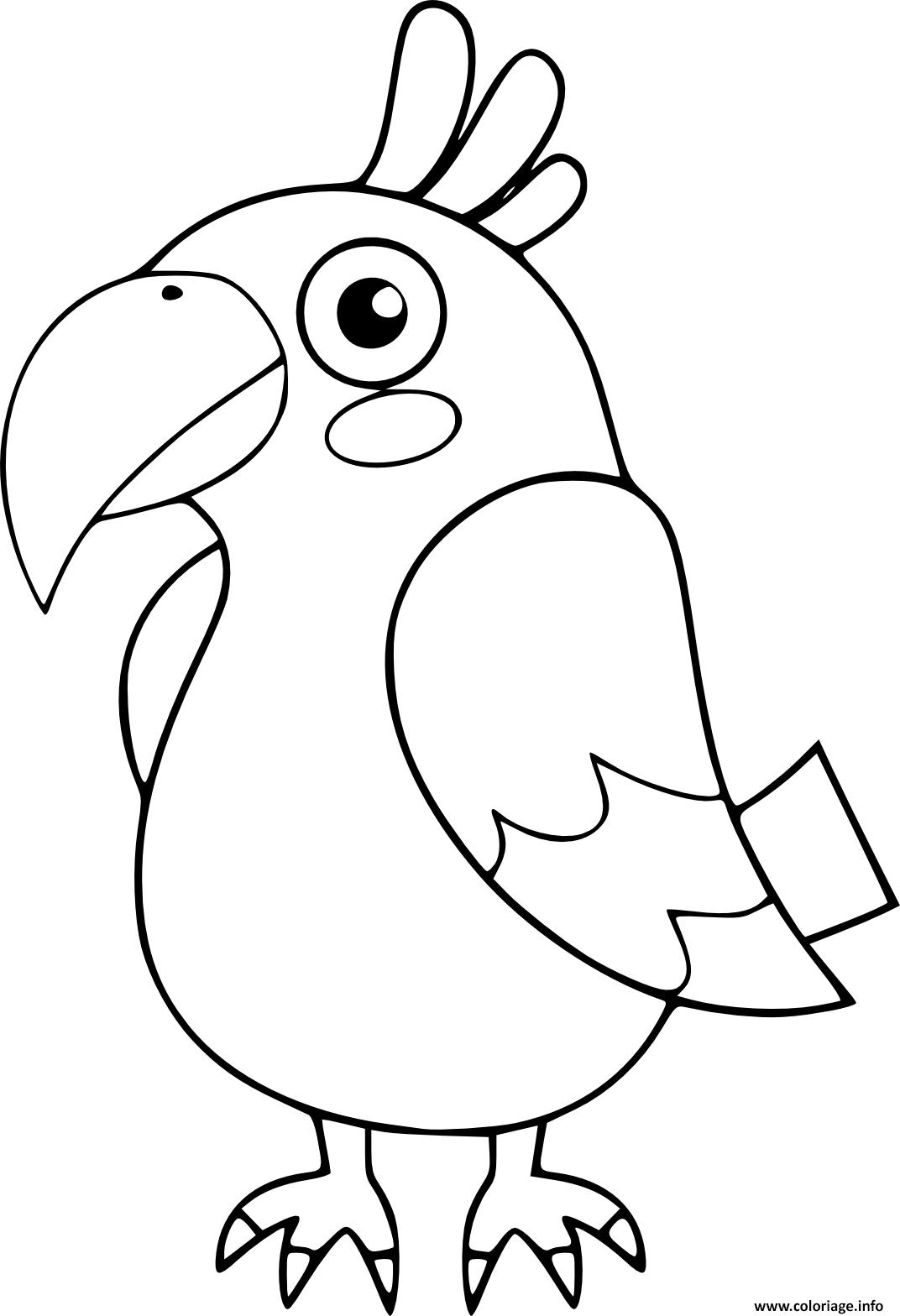 Dessin perroquet oiseau maternelle Coloriage Gratuit à Imprimer