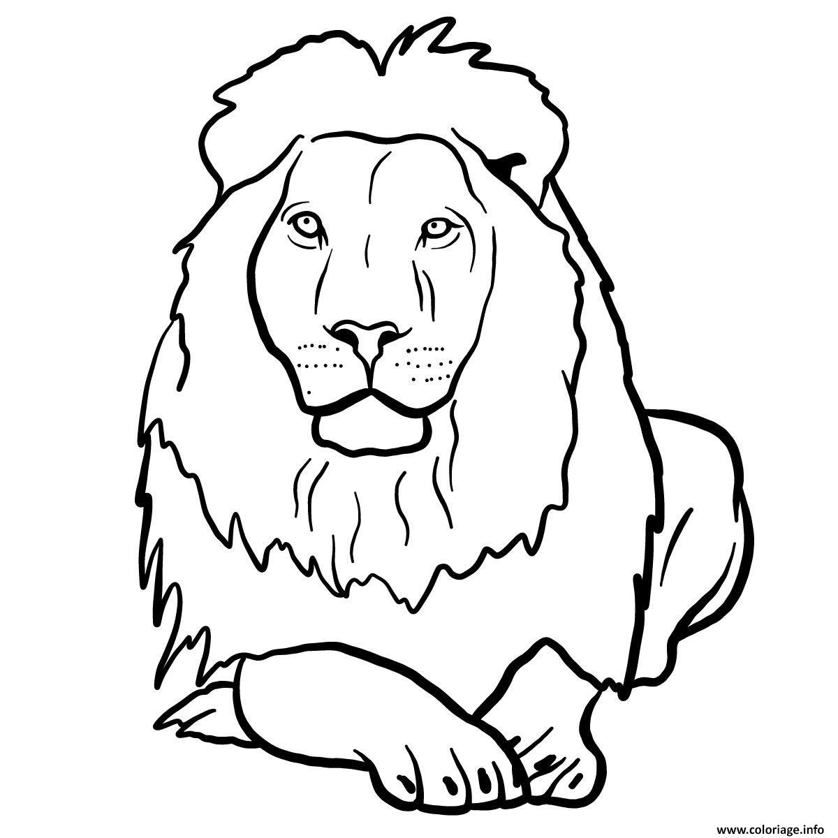 Coloriage Lionne Animal Agregaire Dessin à Imprimer