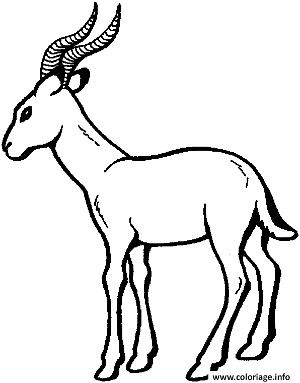 Dessin antilope Coloriage Gratuit à Imprimer