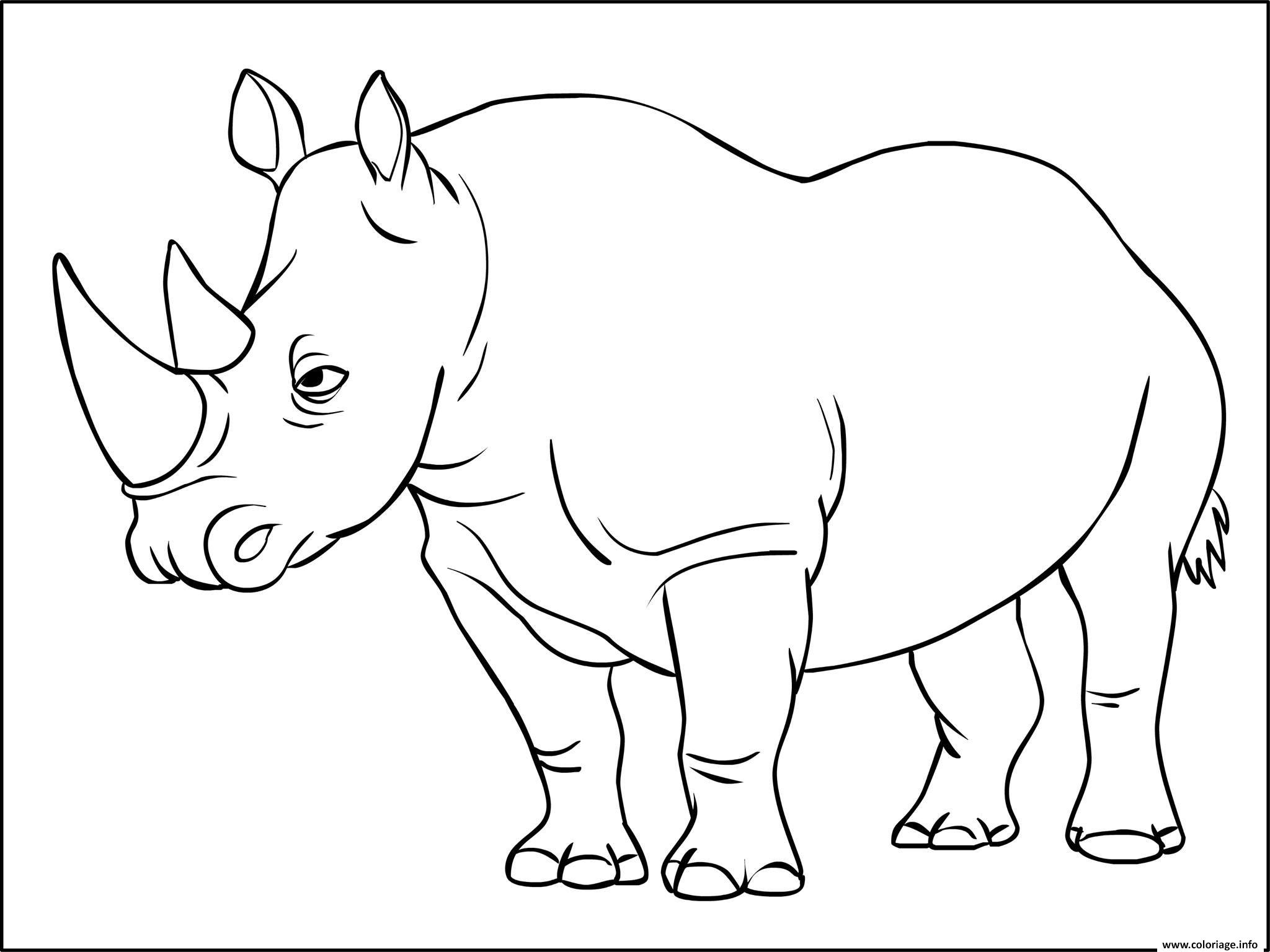 Dessin rhinoceros mammiferes appartenant a la famille des rhinocerotides Coloriage Gratuit à Imprimer