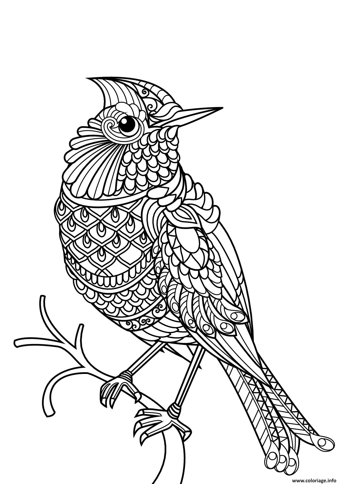 Coloriage Oiseau Mandala Difficile Adulte Dessin Oiseau à Imprimer