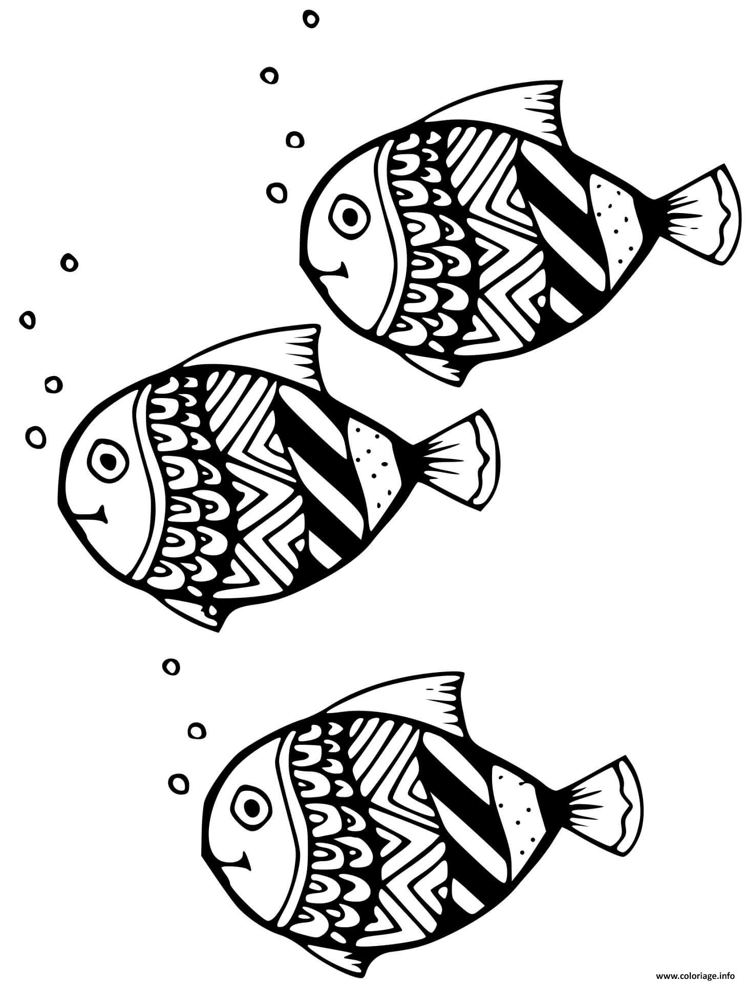 Dessin poisson Chimeriformes de l Amerique du nord Coloriage Gratuit à Imprimer