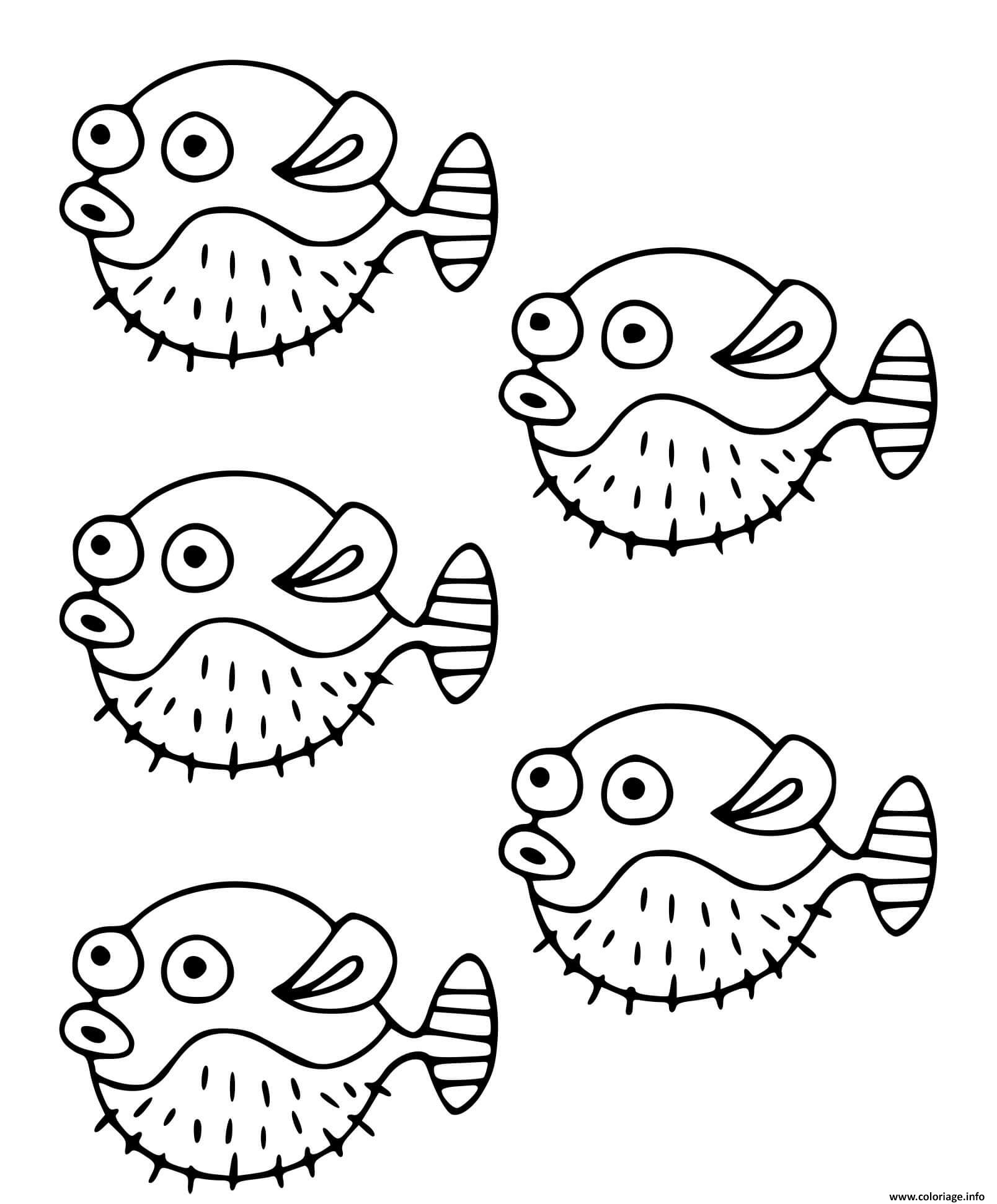 Dessin poisson Tetraodontides poissons globes peuvent gonfler Coloriage Gratuit à Imprimer