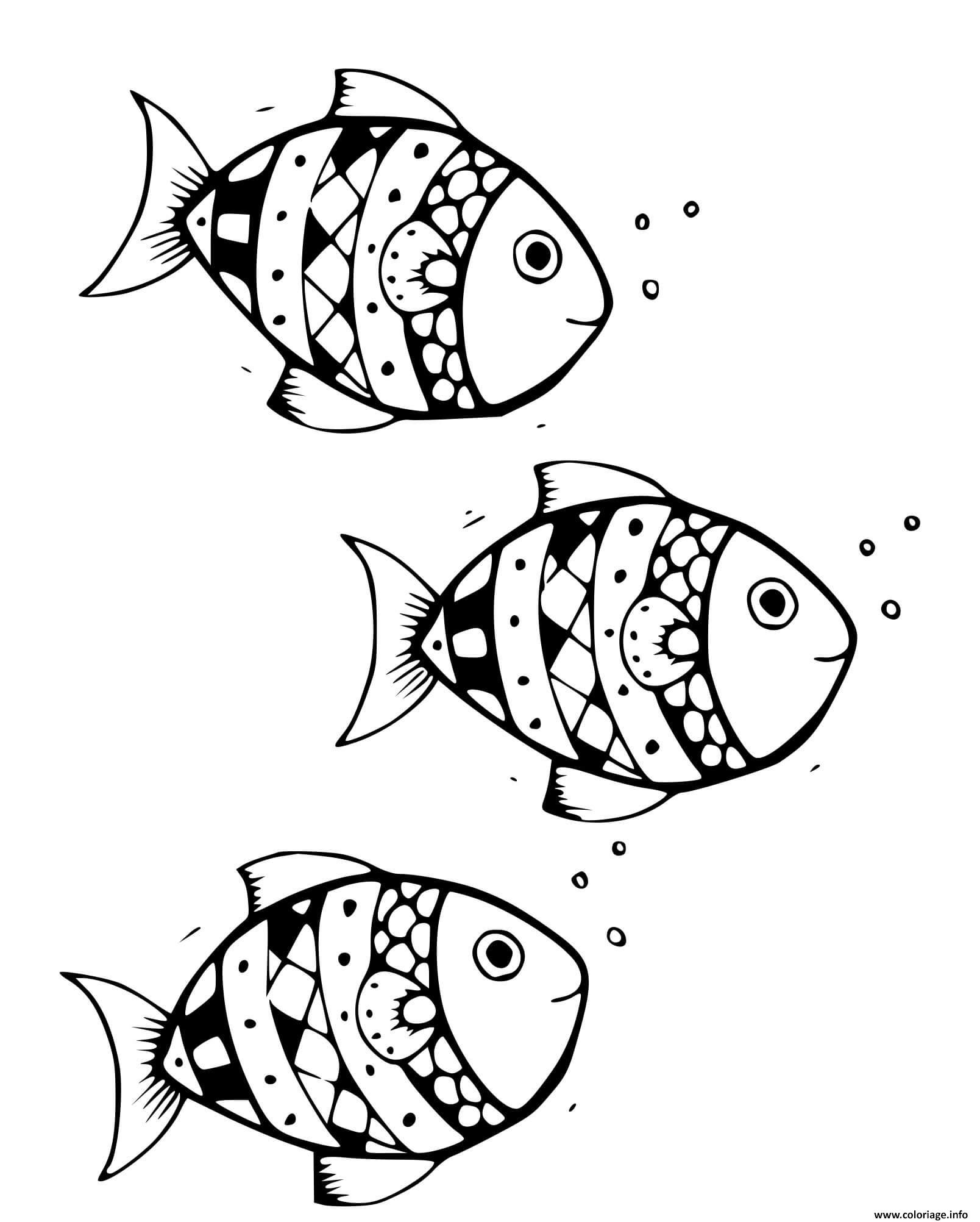 Dessin poissons a nageoires rayonnees Actinopterygiens Coloriage Gratuit à Imprimer